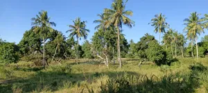 3acres and Half Land on Sale at Matuga Next to Kwale Hq Area Burani