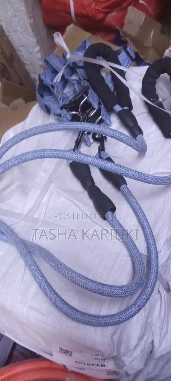 High Quality Dog Leash
