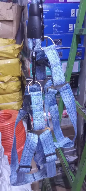 Strong and Durable Dog Leash With Harness