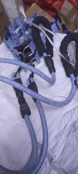 Dog Leash With Harness Available