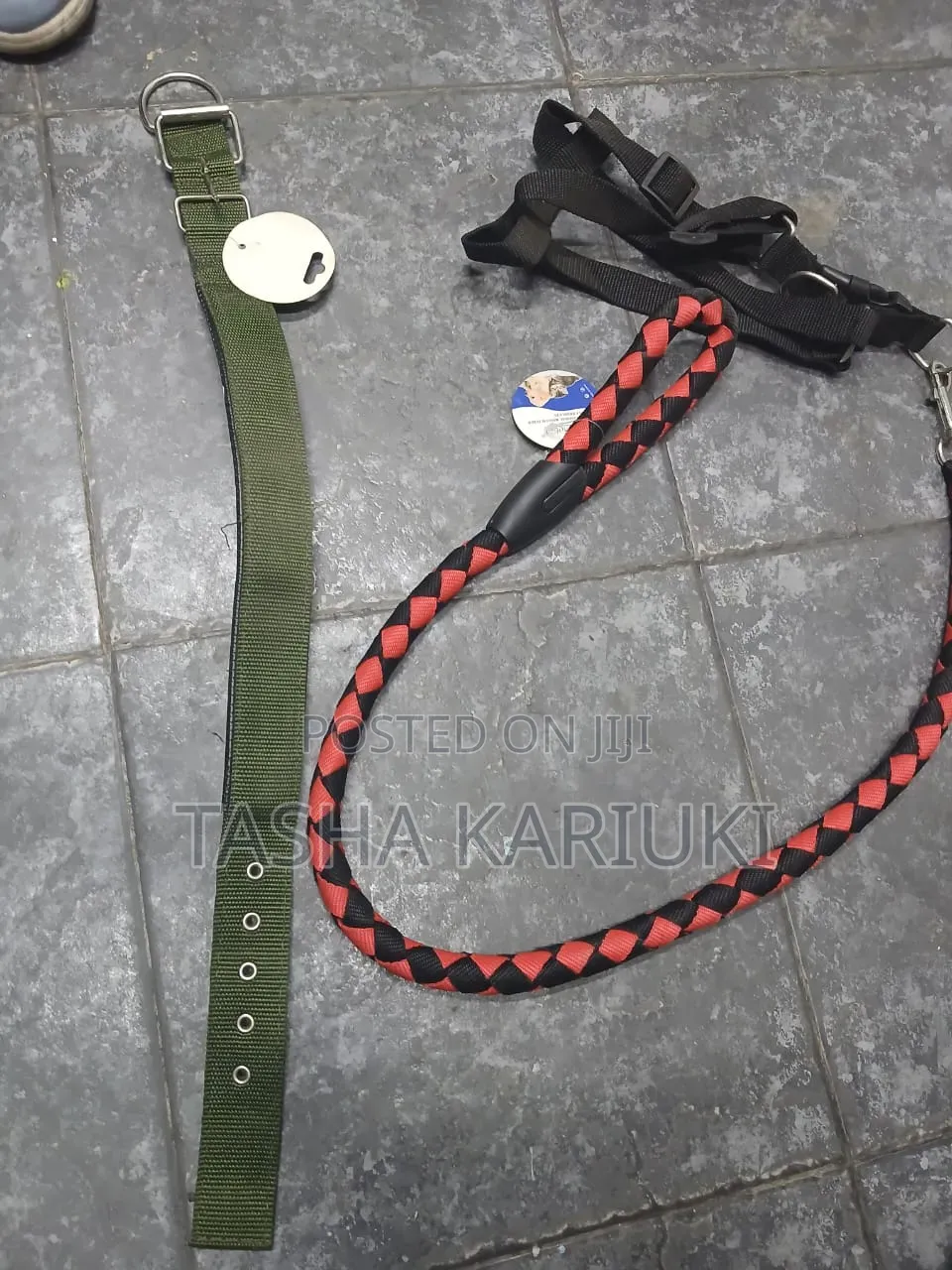 Dog Leash With Harness Available