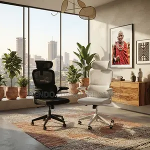 Office Chairs; Home Office Orthopedic Chairs ( in Black and White)