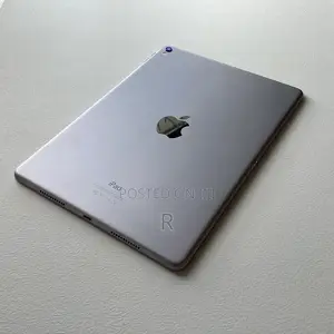 Apple iPad Pro 256 GB Gray
