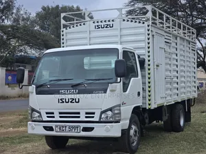 Isuzu NPR Truck