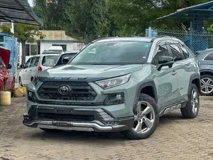 Toyota RAV4 Adventure 2019 Green