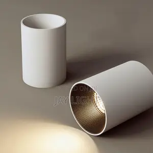 Surface Mount Round Led Ceiling 220V Indoor Lighting