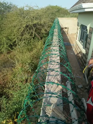 Fencing Green Razors Wire