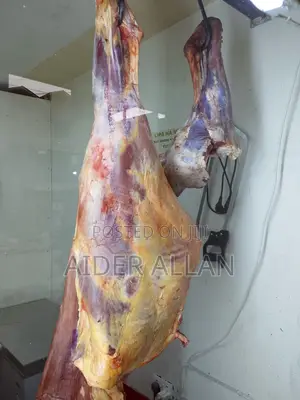 Fresh Beef