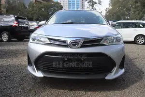 Toyota Corolla Fielder 2019 Silver