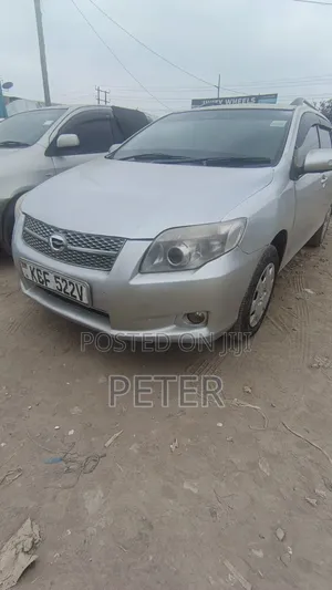 Toyota Corolla Fielder 2009 Silver