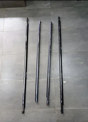 Lexus 570 Weather Strips Chrome/Black