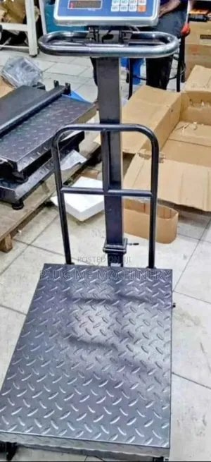 Well Performed Weghing Scale 600kg / Idea Platform 600kg Scale