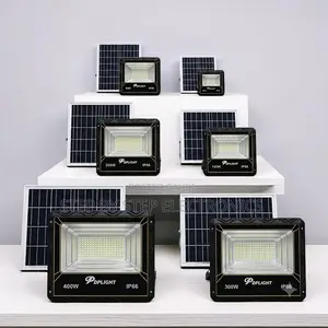 Outdoor Security 60W 100W 200W Solar Flood Light Wholesale