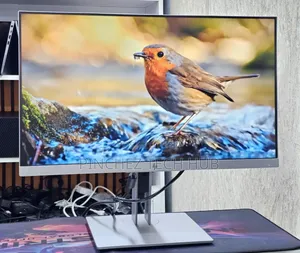 HP E233 Monitor 
23 Inch Screen Size
1920 × 1080 FHD 
