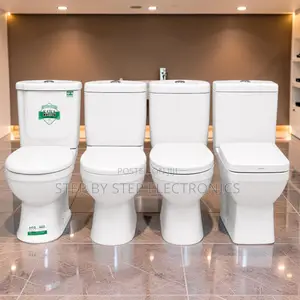 Modern Flush Toilet Collection With Premium Ceramic Bathroom Fixtures