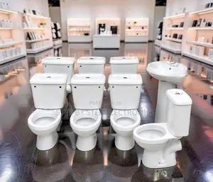 Elegant Bathroom Toilet Suite Display With Modern Ceramic Toilets