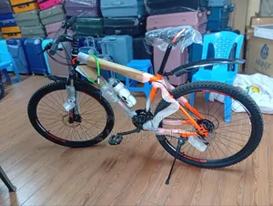 Rocky Mountain Bike Size 29
