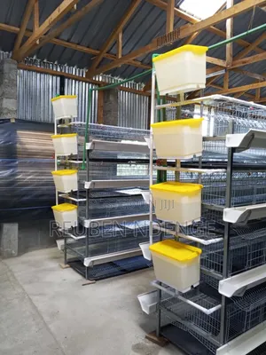 Fully Automated Cage System