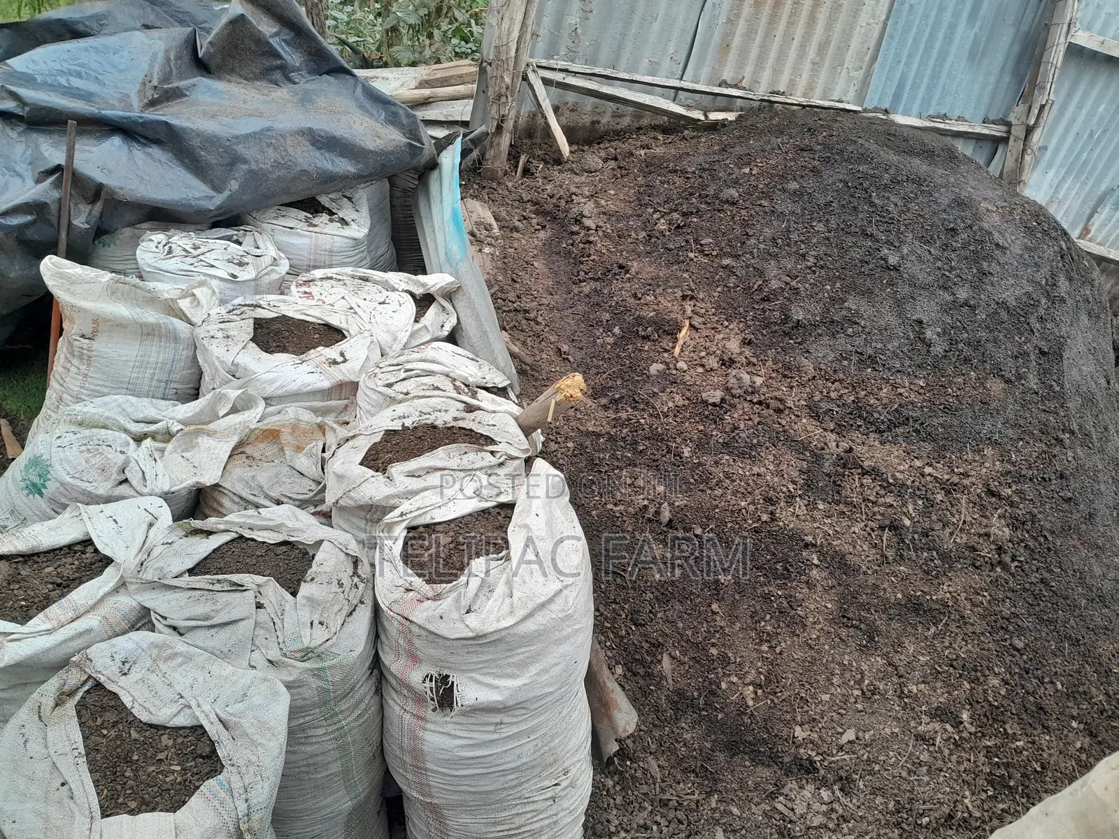 Chicken Manure.