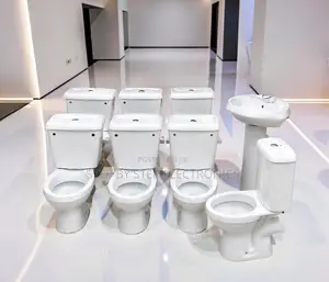 Elegant Ceramic Toilet Display Collection for Bathroom Showrooms