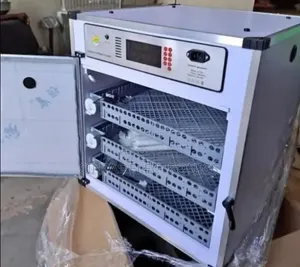 Eggs Incubator