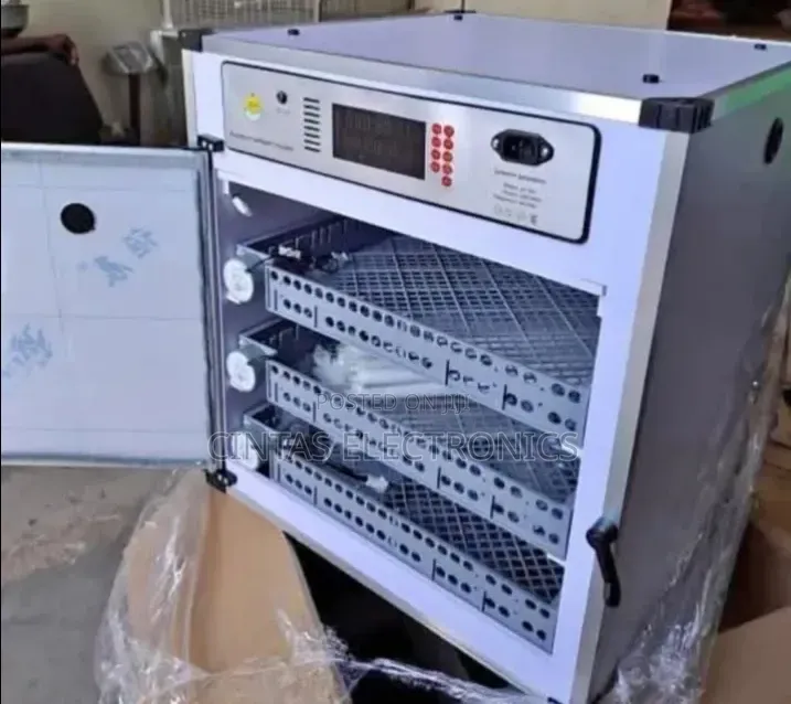 Eggs Incubator