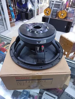 Derwel 12DL202 12-Inch Professional Loudspeaker
