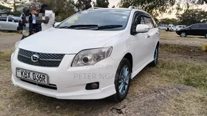 Toyota Corolla Fielder 2008 White