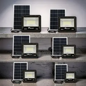 Heavy-Duty 100W 200W 300W Solar Flood Light Wholesale