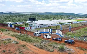 Kimuka Prime Plots With Ready Titles^MW