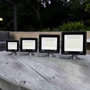 Professional-Quality 200W,100W,50W,30W AC Electric LED Flood Light