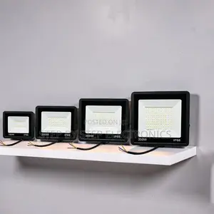 Value-Packed Reliable 200W,100W,50W,30W AC Electric LED Flood Light