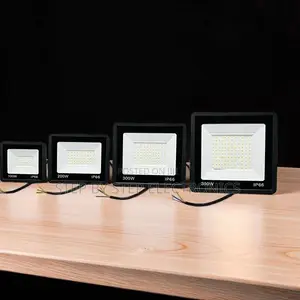 Waterproof 200W,100W,50W,30W AC Electric LED Flood Light