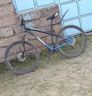 Ex Uk Mountain Bike, Size 29