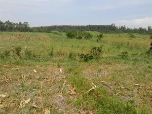 3a Land for Sale Matungu