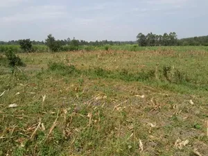 3a Land for Sale Matungu