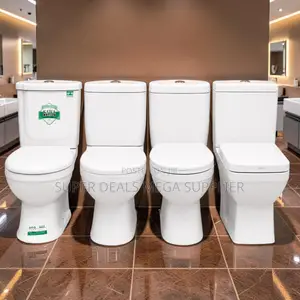 Contemporary Ceramic Toilet Suite Collection for Elegant Bathrooms