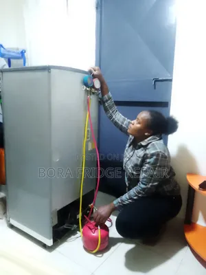 Fridge Gas Refill and Repair