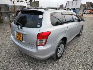 Toyota Corolla Fielder 2010 Silver