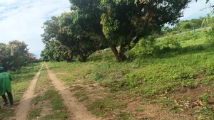 Commercial Land for Sale