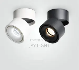 Surface Mounted LED Ceiling Lamp Spot Decoration Wall Light