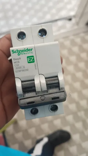 32a Double Pole Switch 2pole Schneider