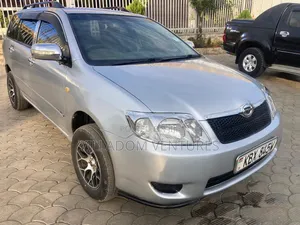 Toyota Corolla Fielder 2008 Silver