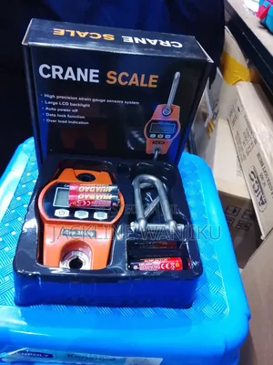 New Portable Accurate 300kgs Crane Scale/Quality 300kgs Crane Scale