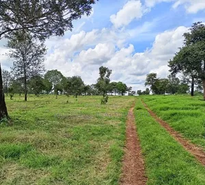 Land for Sale in Tilisi ( 4 and 1/2 Acres)