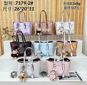 Coach Mollie Tote
