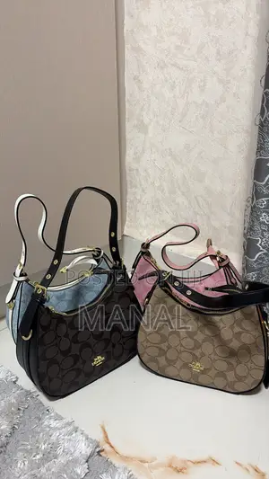 Coach Moon Bags