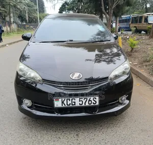 Toyota Wish 2009 Burgundy