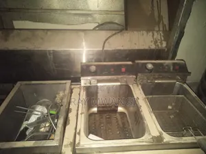 Double Deep Fryer