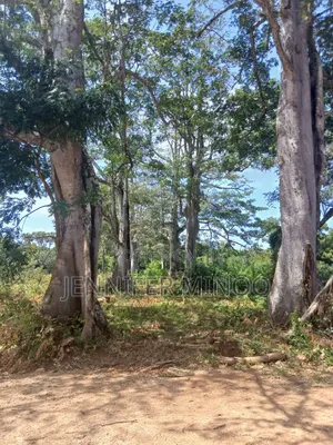 Plots for Sale Vipingo Kilifi County , KURUWITU
